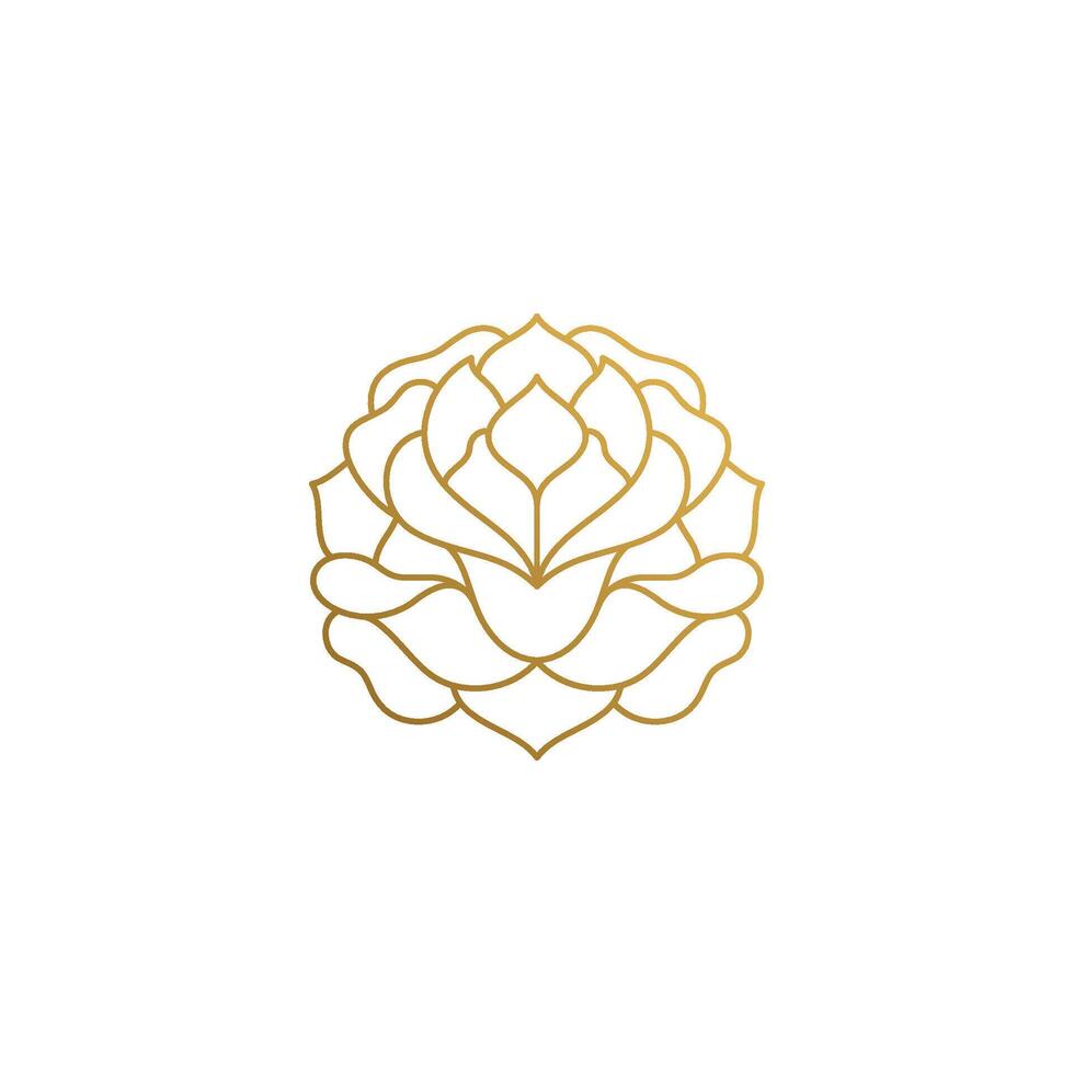 Outline design of elegant rose hand drawn with thin lines vector