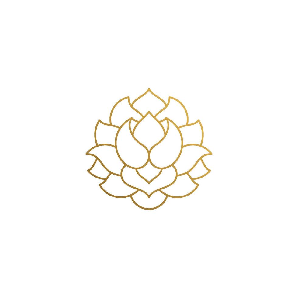 Outline design of elegant rose hand drawn with thin lines vector