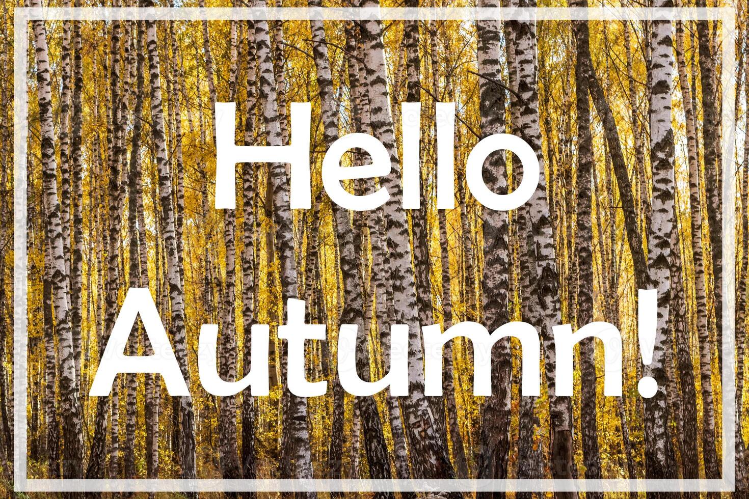 The words Hello Autumn on the background of birch forest with golden leaved. Greeting card. The concept of the beginning of autumn. photo