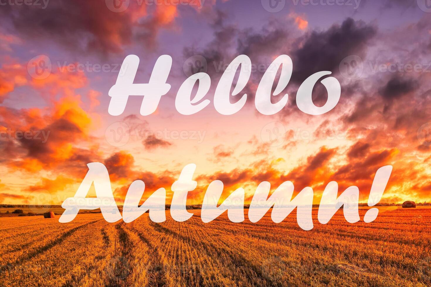 The words Hello Autumn on the background of field with golden haystacks. Greeting card. The concept of the beginning of autumn. photo