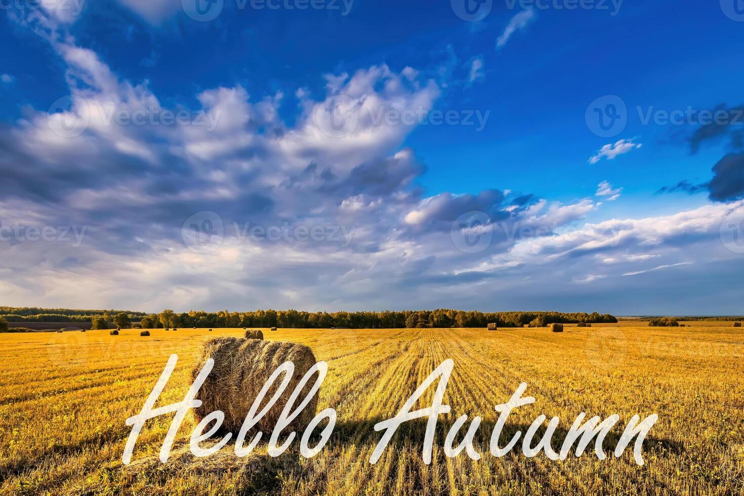 The words Hello Autumn on the background of field with golden haystacks. Greeting card. The concept of the beginning of autumn. photo