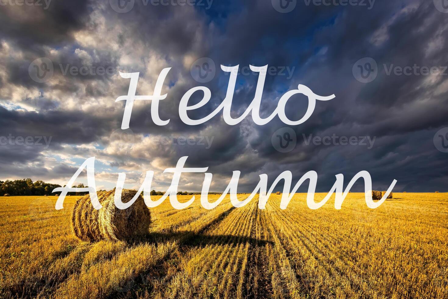 The words Hello Autumn on the background of field with golden haystacks. Greeting card. The concept of the beginning of autumn. photo
