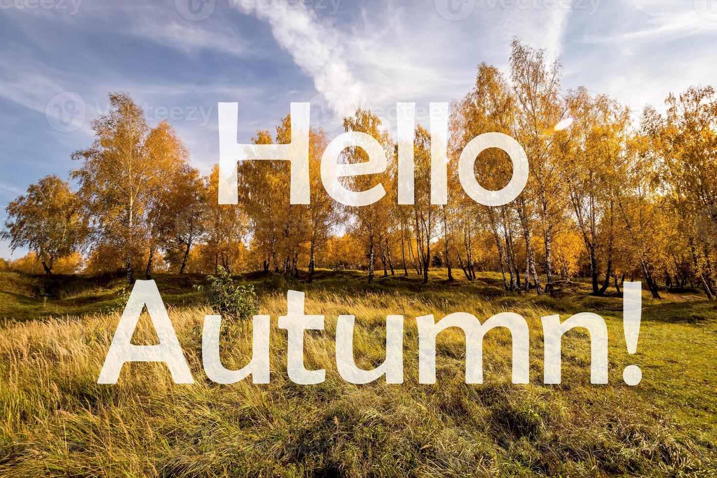 The words Hello Autumn on the background of birch forest with golden leaved. Greeting card. The concept of the beginning of autumn. photo