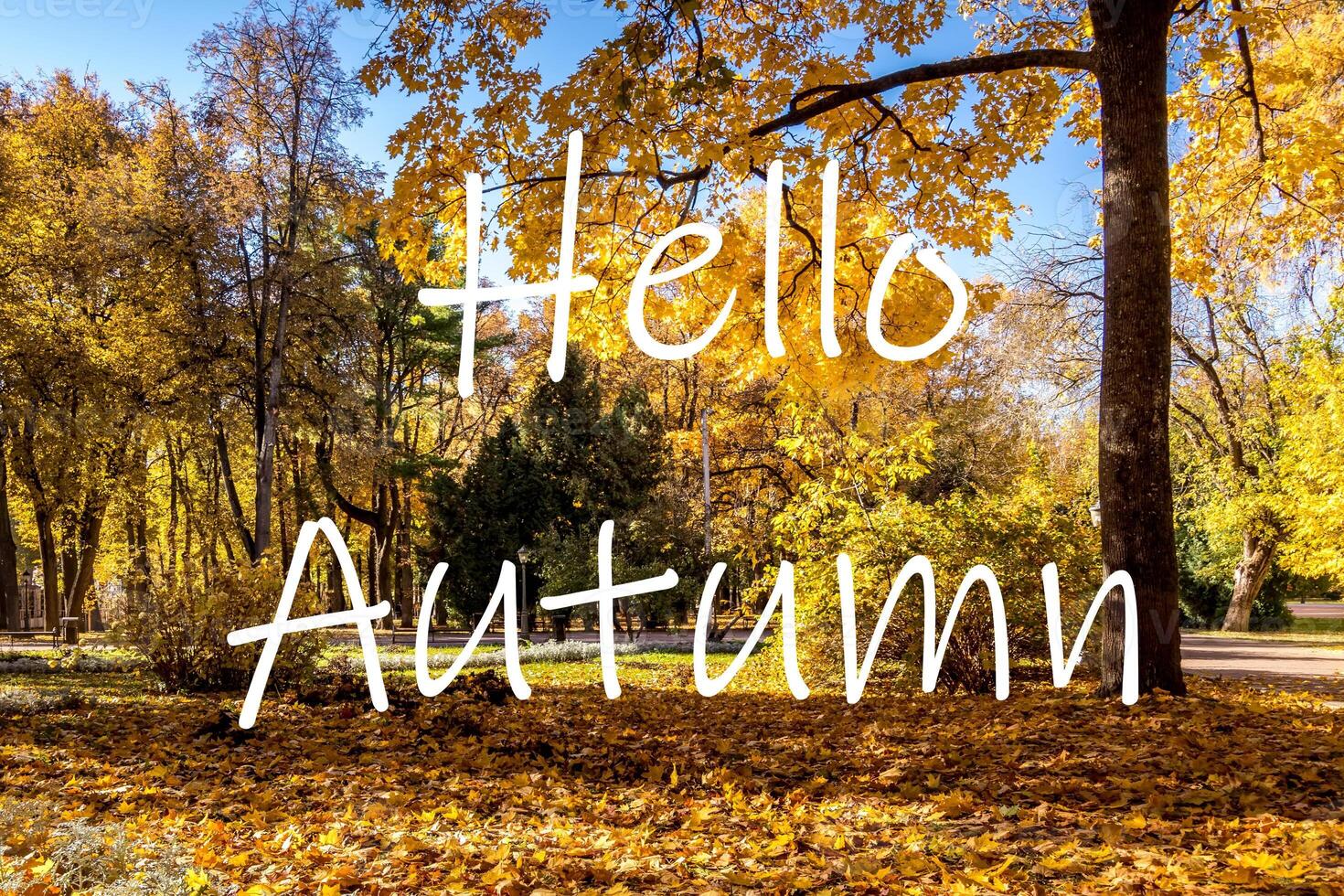 The words Hello Autumn on the background of autumn park lit by sun in golden autumn season. Greeting card. The concept of the beginning of autumn. photo