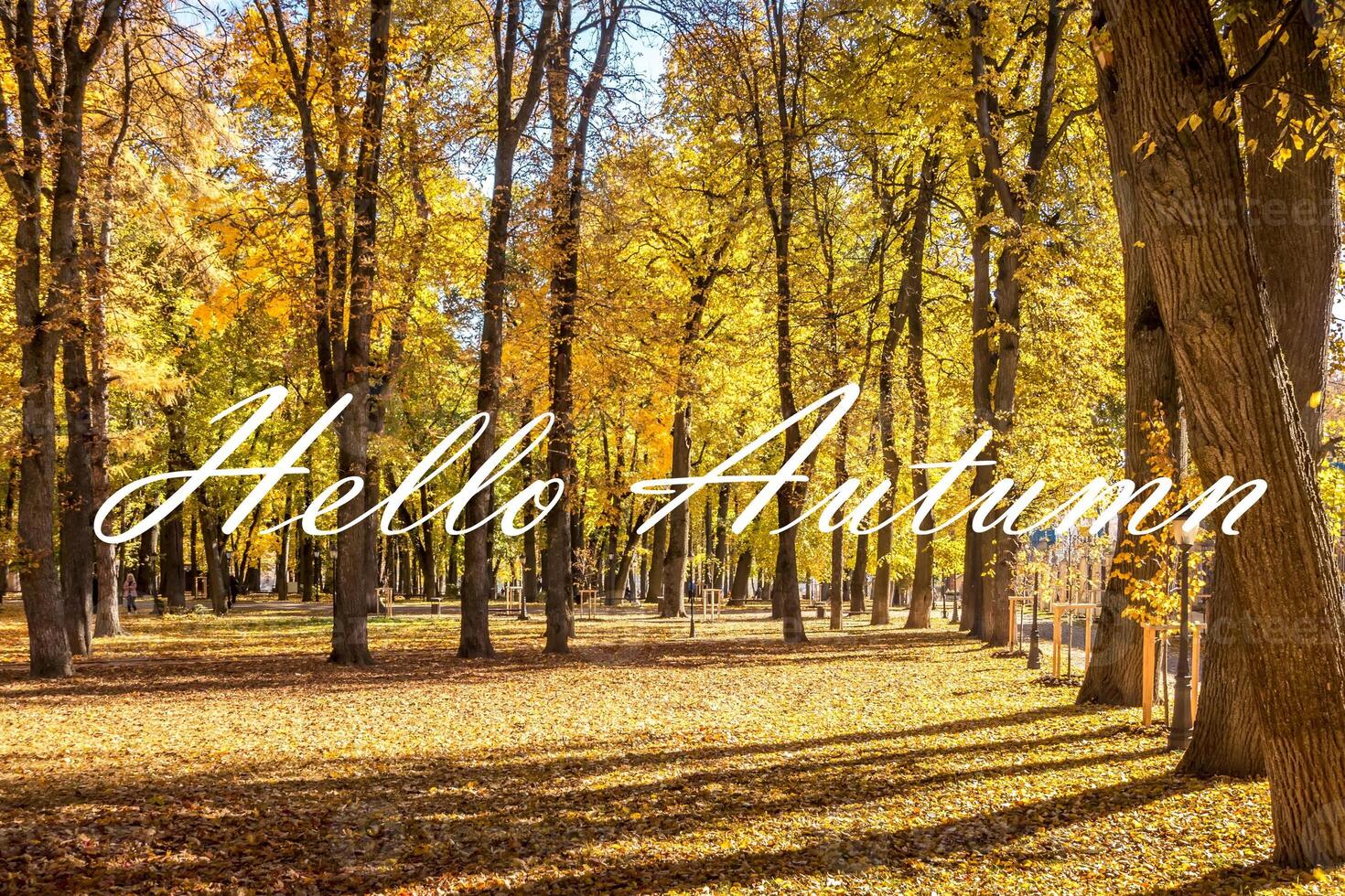 The words Hello Autumn on the background of autumn park lit by sun in golden autumn season. Greeting card. The concept of the beginning of autumn. photo