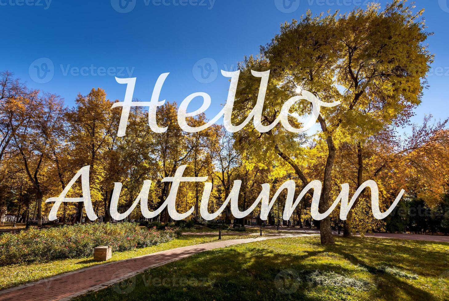 The words Hello Autumn on the background of autumn park lit by sun in golden autumn season. Greeting card. The concept of the beginning of autumn. photo