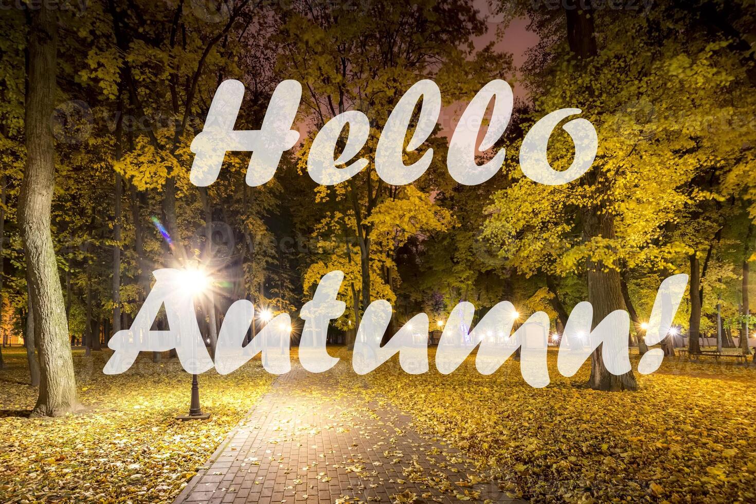The words Hello Autumn on the background of night city park with fallen leaves and trees. Greeting card. The concept of the beginning of autumn. photo