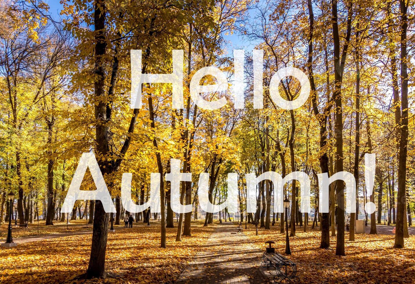 The words Hello Autumn on the background of autumn park lit by sun in golden autumn season. Greeting card. The concept of the beginning of autumn. photo