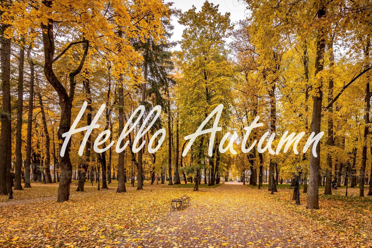 The words Hello Autumn on the background of autumnal city park with trees with golden leaves. Greeting card. The concept of the beginning of autumn. photo