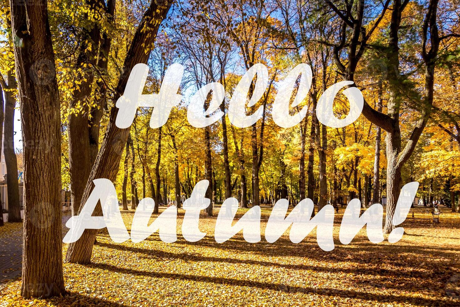 The words Hello Autumn on the background of autumn park lit by sun in golden autumn season. Greeting card. The concept of the beginning of autumn. photo