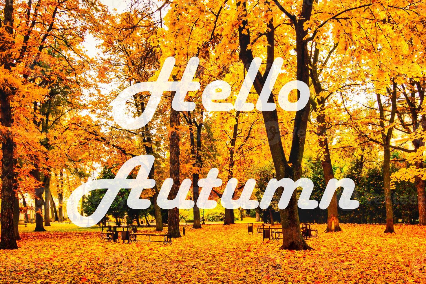 The words Hello Autumn on the background of autumnal city park with trees with golden leaves. Greeting card. The concept of the beginning of autumn. photo