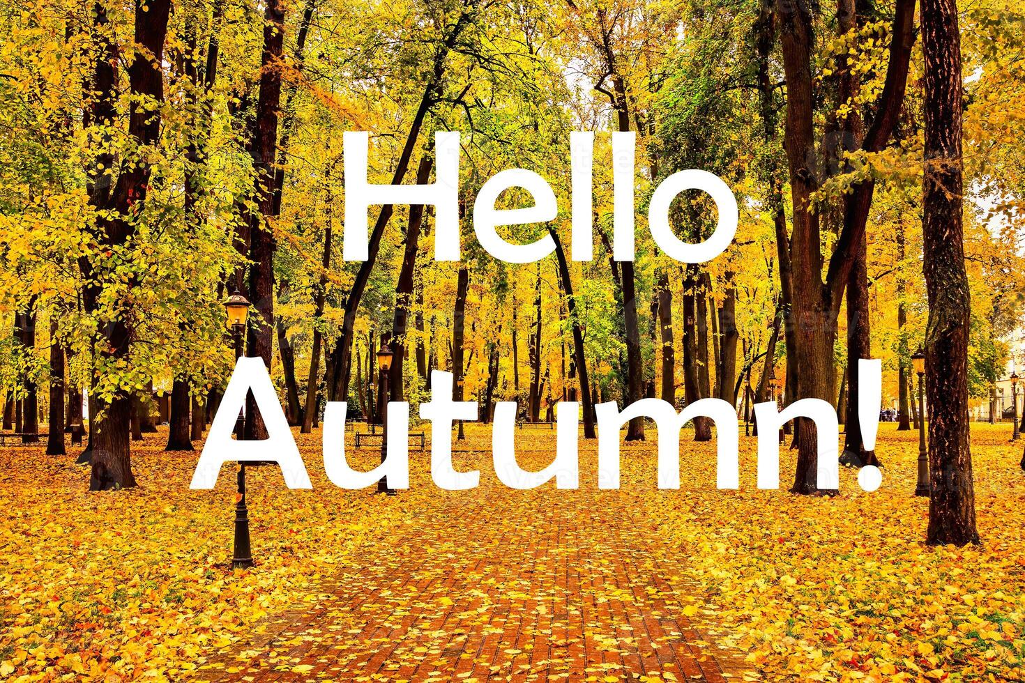 The words Hello Autumn on the background of autumnal city park with trees with golden leaves. Greeting card. The concept of the beginning of autumn. photo