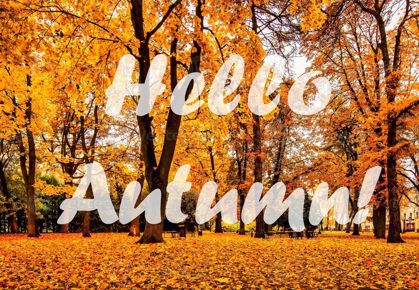 The words Hello Autumn on the background of autumnal city park with trees with golden leaves. Greeting card. The concept of the beginning of autumn. photo