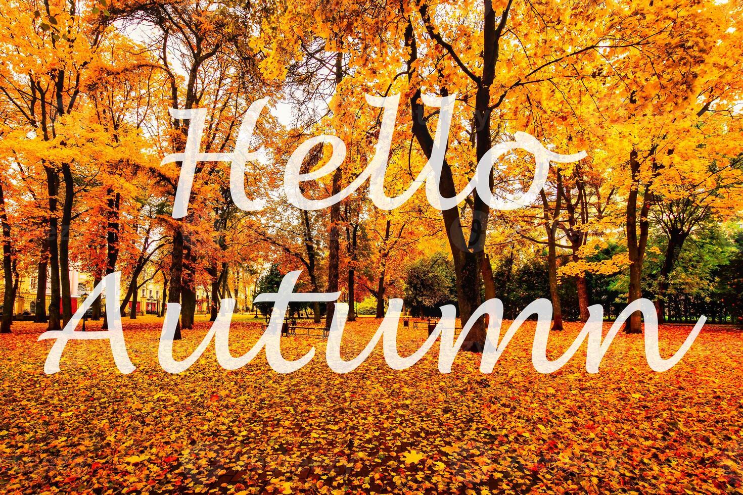 The words Hello Autumn on the background of autumnal city park with trees with golden leaves. Greeting card. The concept of the beginning of autumn. photo