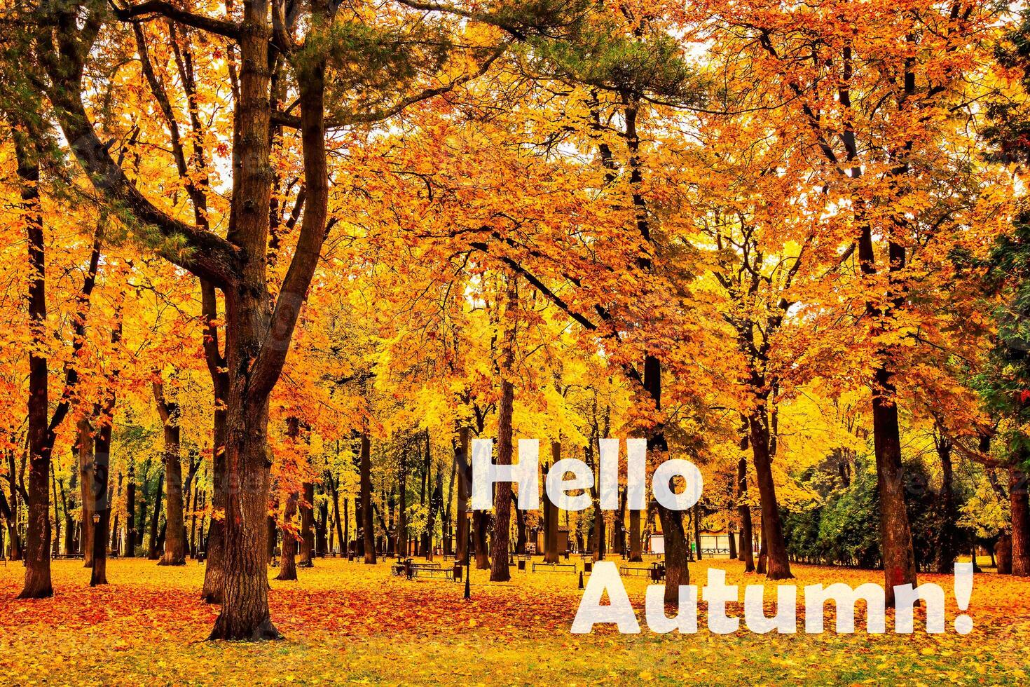 The words Hello Autumn on the background of autumnal city park with trees with golden leaves. Greeting card. The concept of the beginning of autumn. photo