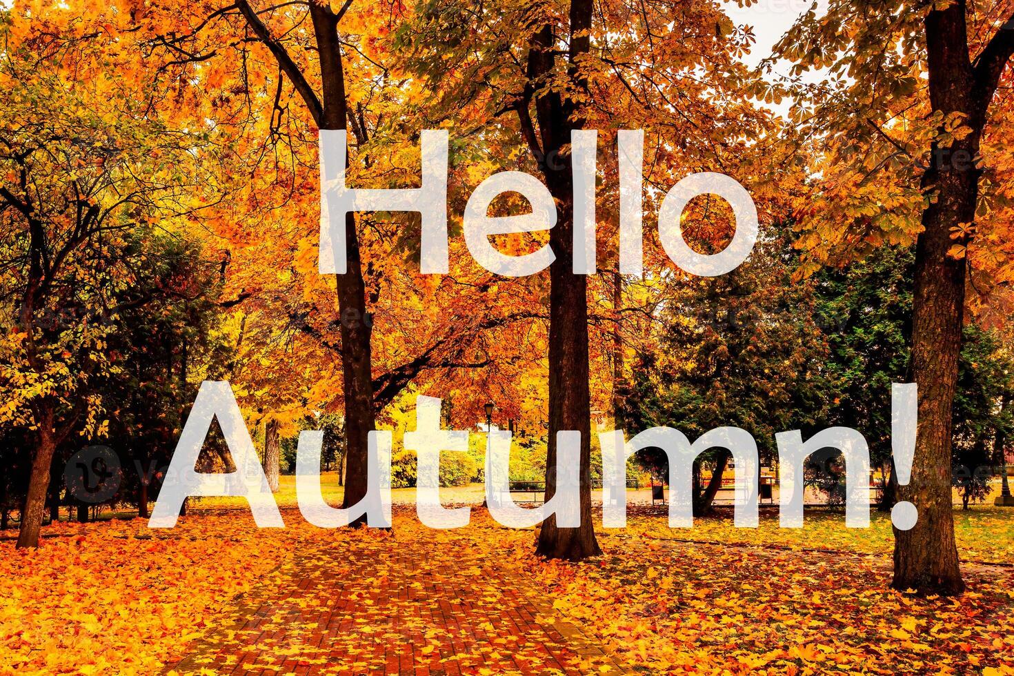 The words Hello Autumn on the background of autumnal city park with trees with golden leaves. Greeting card. The concept of the beginning of autumn. photo