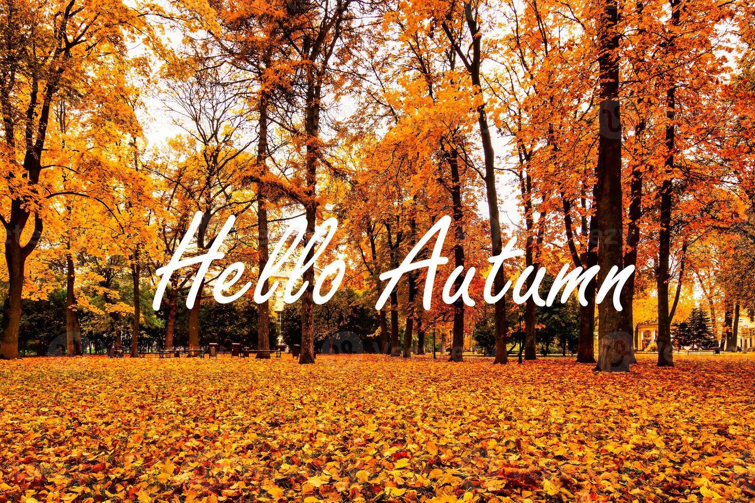 The words Hello Autumn on the background of autumnal city park with trees with golden leaves. Greeting card. The concept of the beginning of autumn. photo