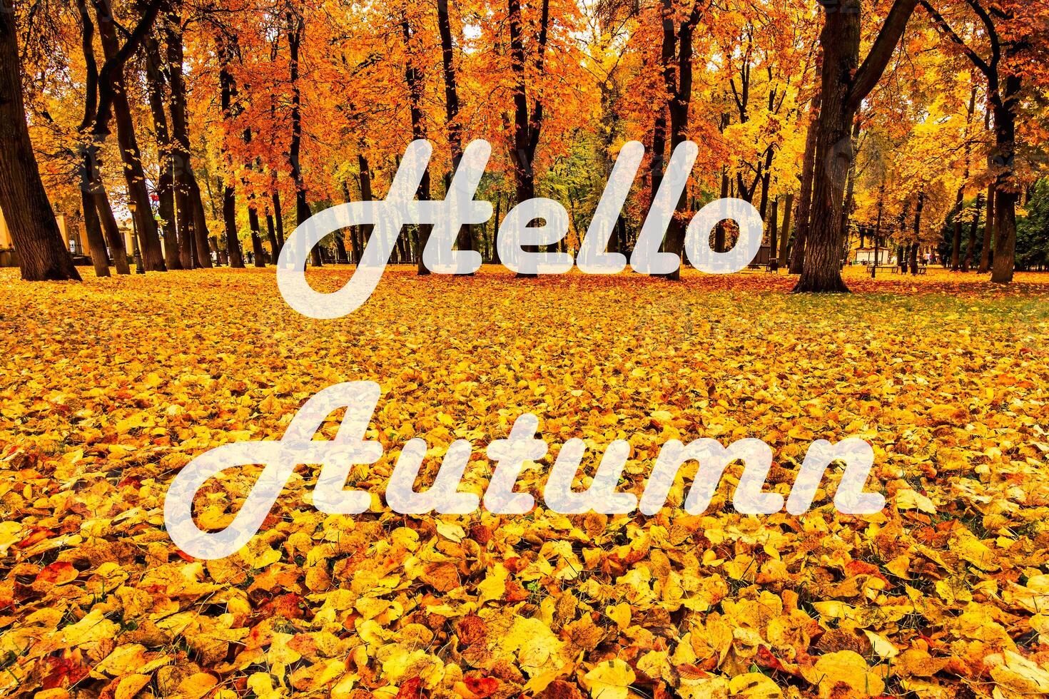 The words Hello Autumn on the background of autumnal city park with trees with golden leaves. Greeting card. The concept of the beginning of autumn. photo