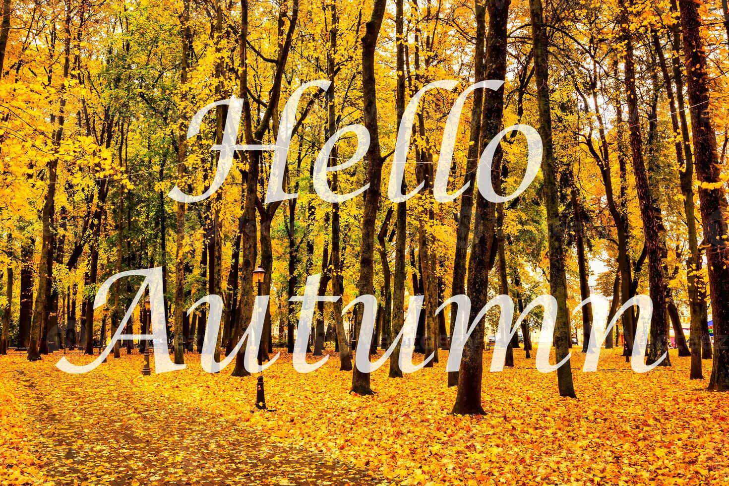 The words Hello Autumn on the background of autumnal city park with trees with golden leaves. Greeting card. The concept of the beginning of autumn. photo