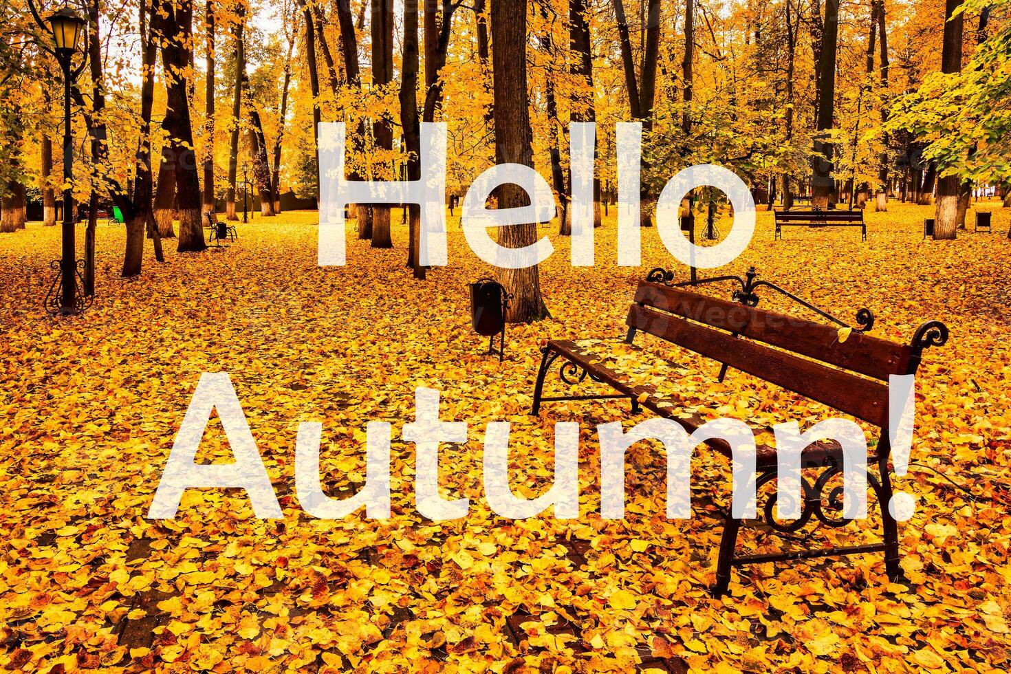 The words Hello Autumn on the background of autumnal city park with trees with golden leaves. Greeting card. The concept of the beginning of autumn. photo
