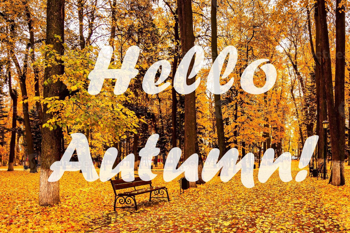The words Hello Autumn on the background of autumnal city park with trees with golden leaves. Greeting card. The concept of the beginning of autumn. photo