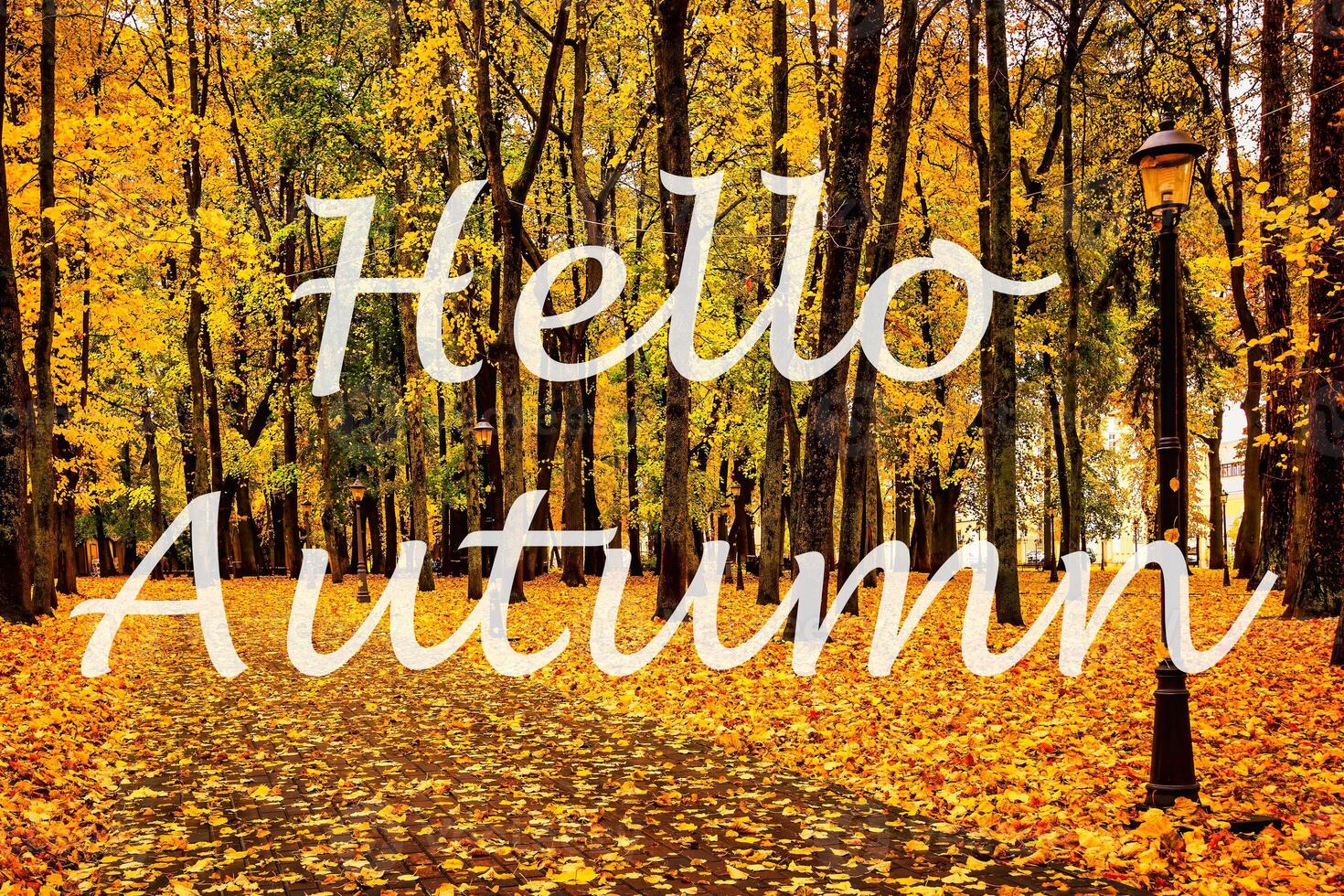 The words Hello Autumn on the background of autumnal city park with trees with golden leaves. Greeting card. The concept of the beginning of autumn. photo