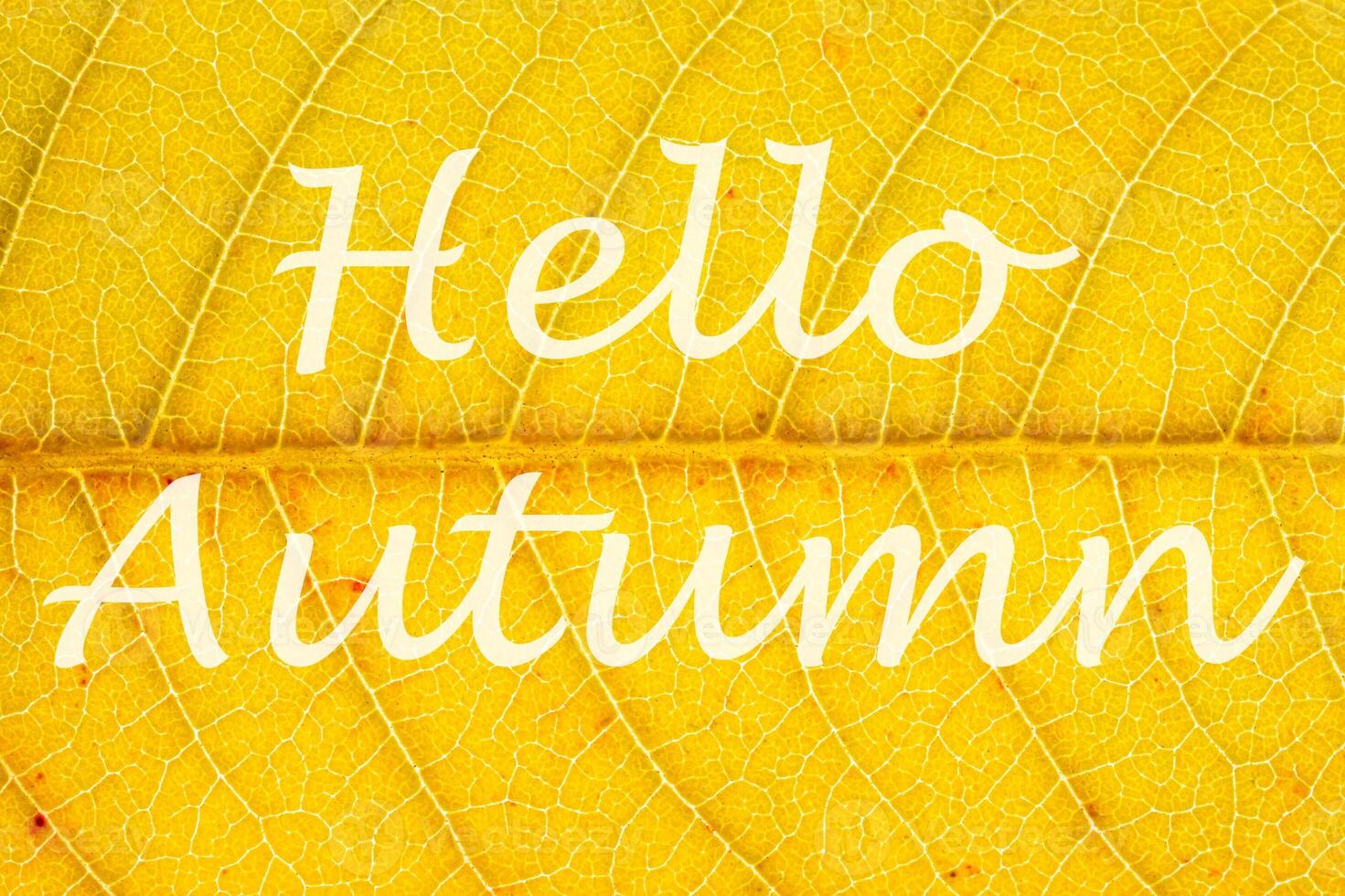 The words Hello Autumn on the background of yellow autumn leaf with veins. Greeting card. The concept of the beginning of autumn. photo