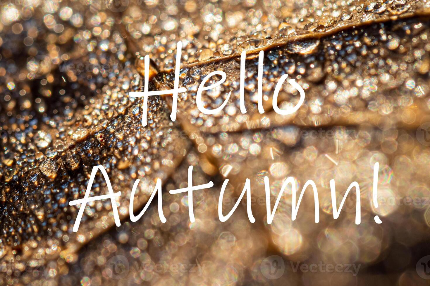 The words Hello Autumn on the background of autumn fallen leaf with dew drops. Greeting card. The concept of the beginning of autumn. photo