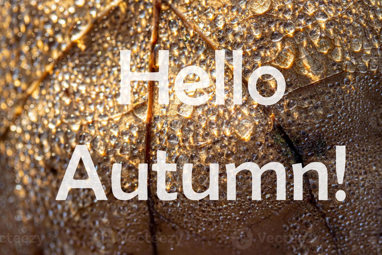 The words Hello Autumn on the background of autumn fallen leaf with dew drops. Greeting card. The concept of the beginning of autumn. photo