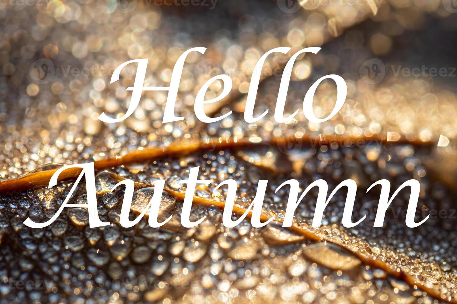 The words Hello Autumn on the background of autumn fallen leaf with dew drops. Greeting card. The concept of the beginning of autumn. photo