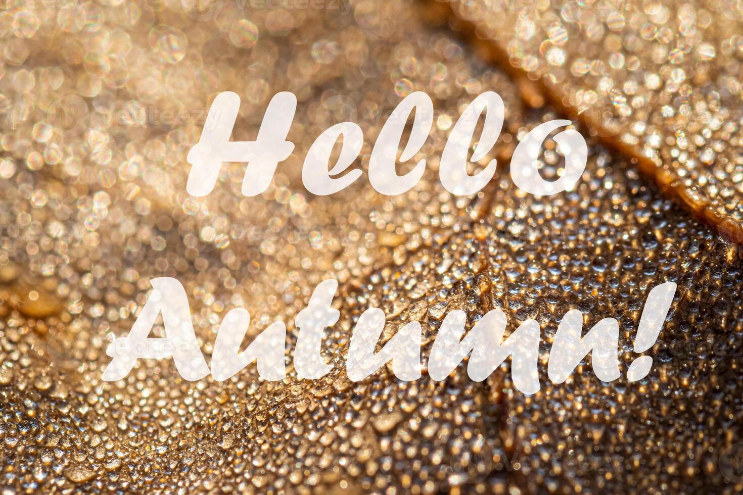 The words Hello Autumn on the background of autumn fallen leaf with dew drops. Greeting card. The concept of the beginning of autumn. photo