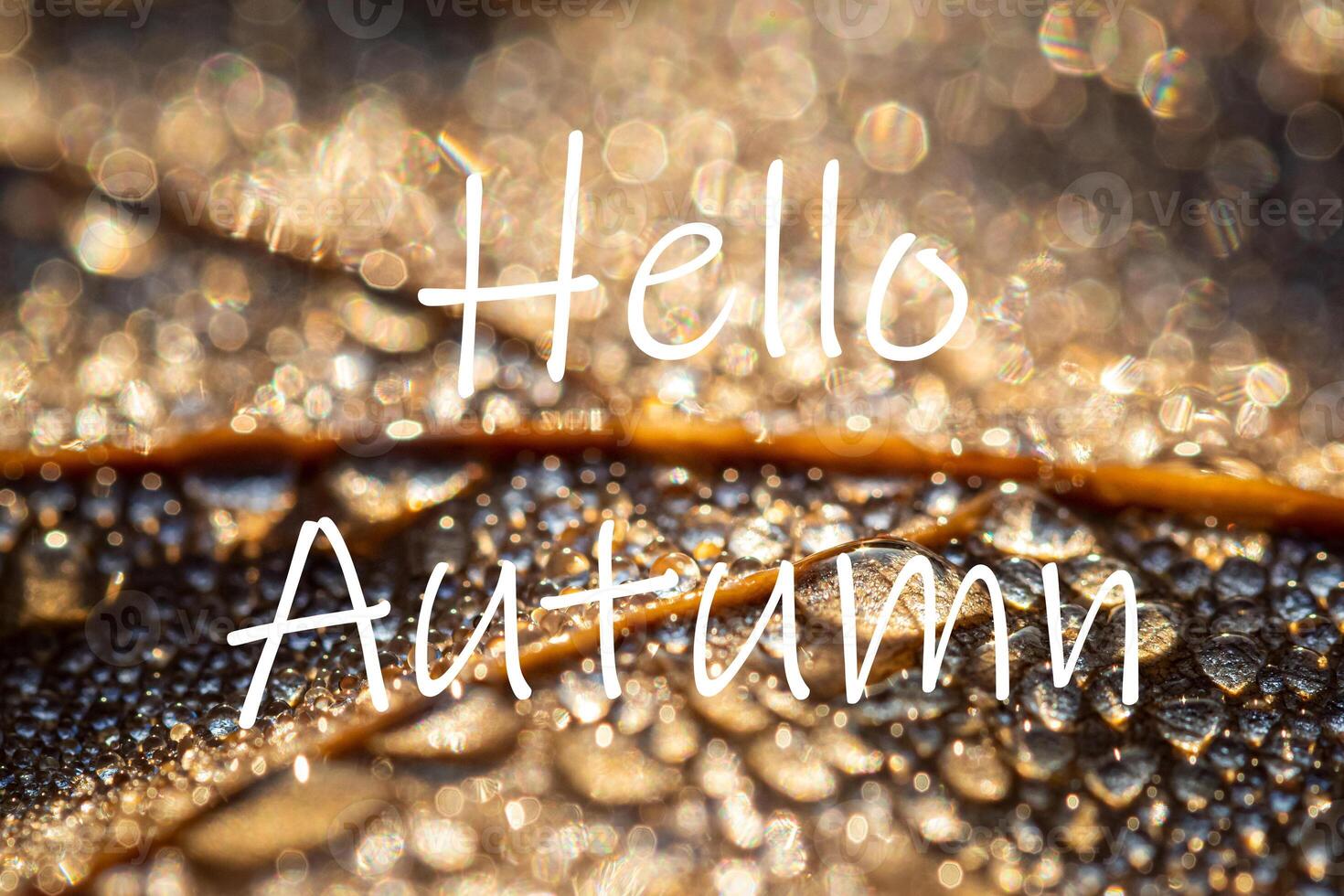 The words Hello Autumn on the background of autumn fallen leaf with dew drops. Greeting card. The concept of the beginning of autumn. photo