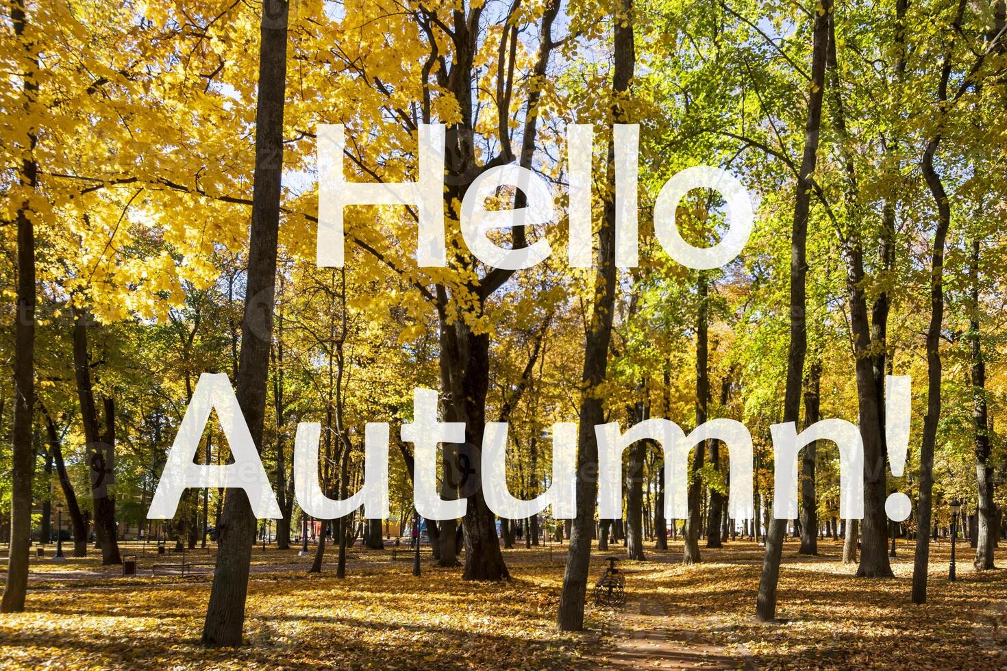 The words Hello Autumn on the background of autumn park lit by sun in golden autumn season. Greeting card. The concept of the beginning of autumn. photo