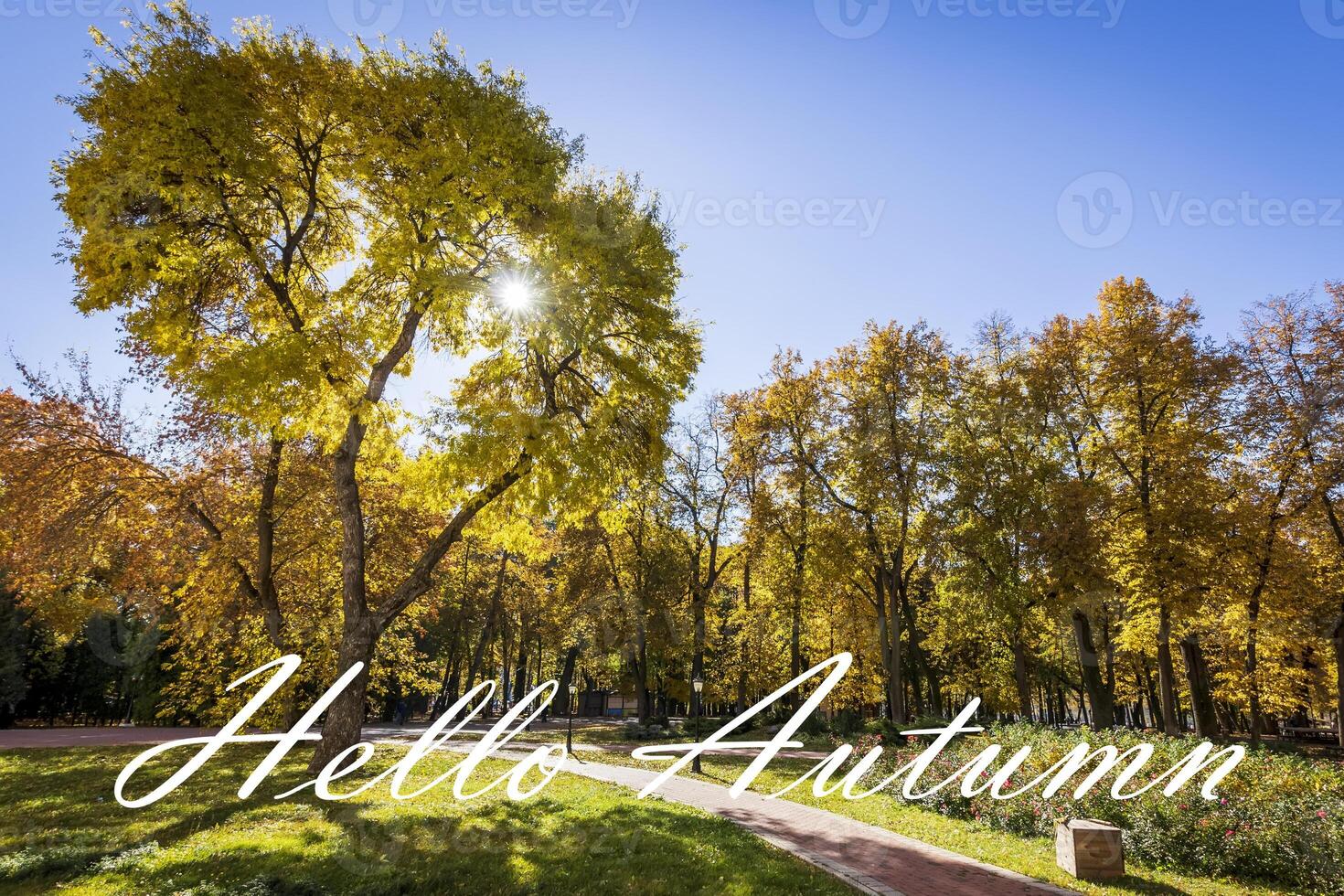 The words Hello Autumn on the background of autumn park lit by sun in golden autumn season. Greeting card. The concept of the beginning of autumn. photo