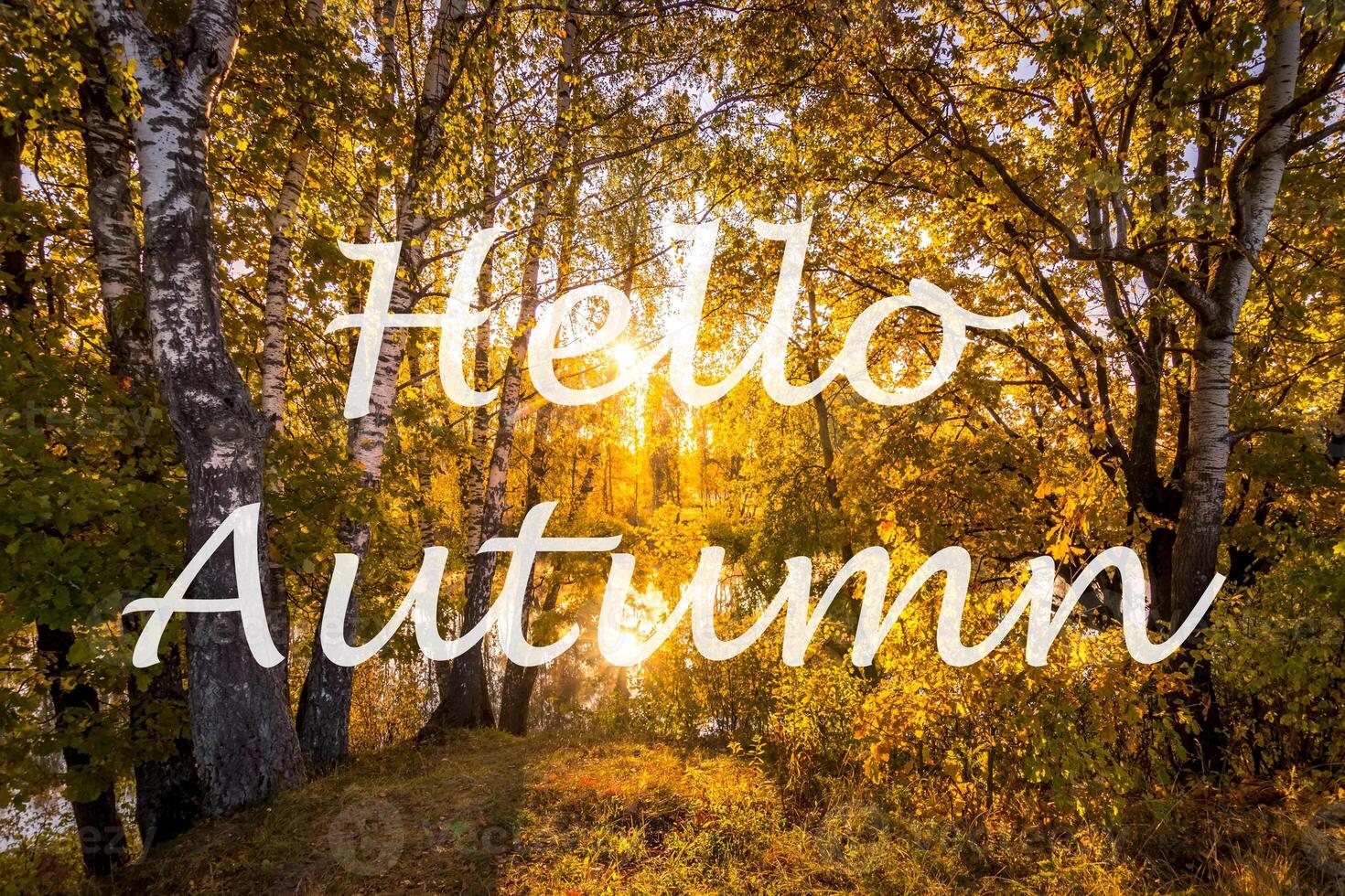 The words Hello Autumn on the background of trees with golden leaves. Greeting card. The concept of the beginning of autumn. photo