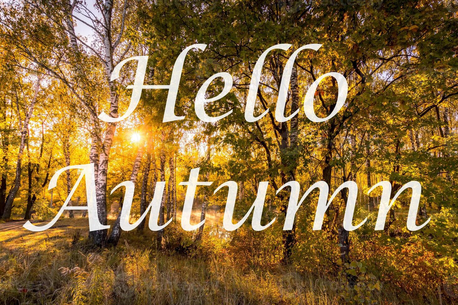 The words Hello Autumn on the background of trees with golden leaves. Greeting card. The concept of the beginning of autumn. photo