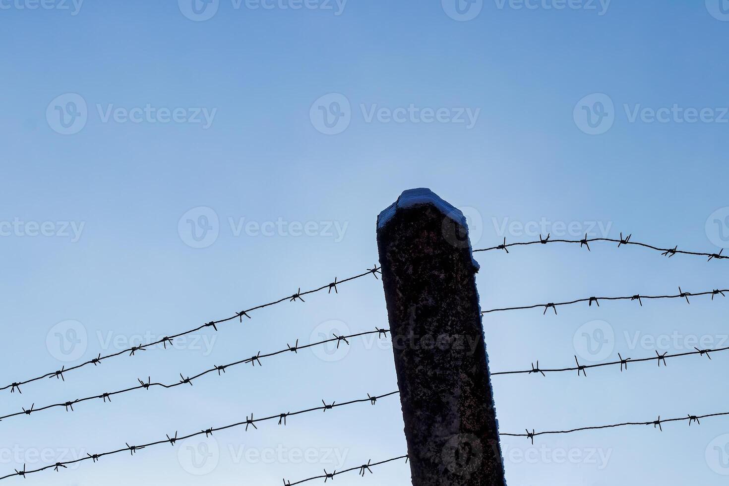 Barbed wire on the background of the sky. The concept of detention, border closure or prison. photo