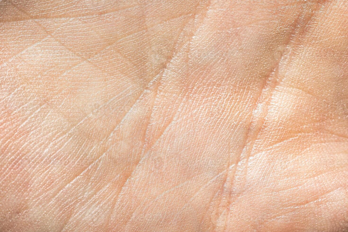 The texture of the skin of the hand. photo