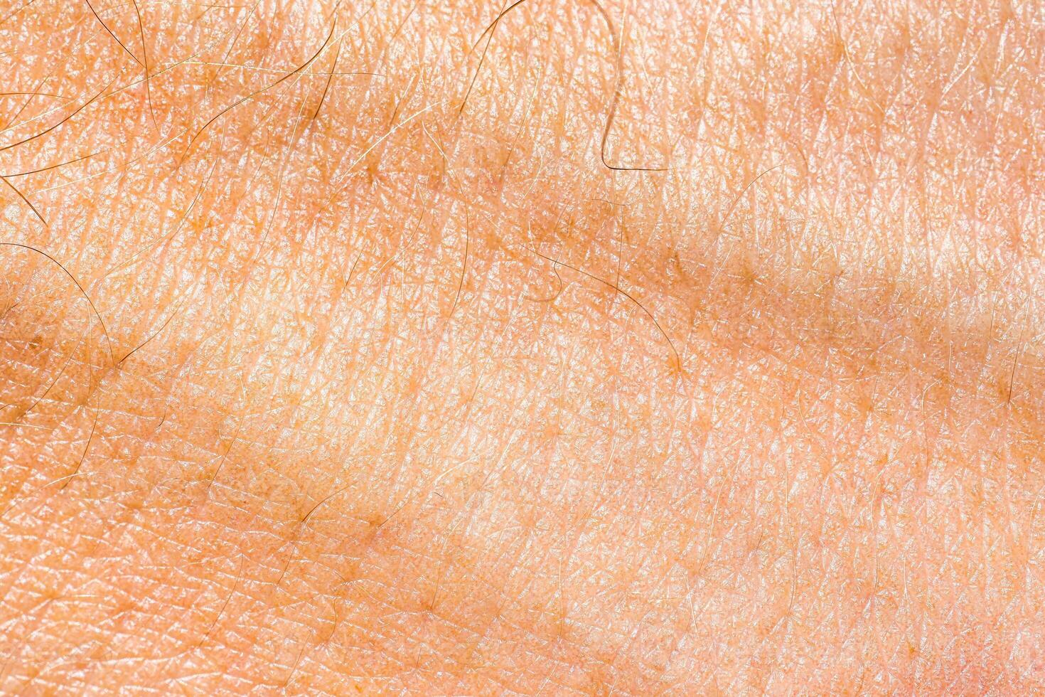 el textura de el piel de el mano. foto