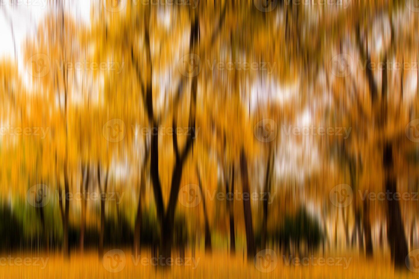 Autumn park vertical motion blurr background. Fall season abstract. photo