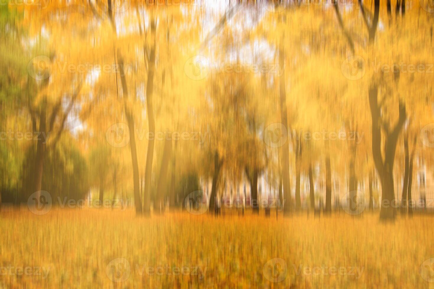 Autumn park with sunshine and vertical motion blurr background. Fall season abstract. photo
