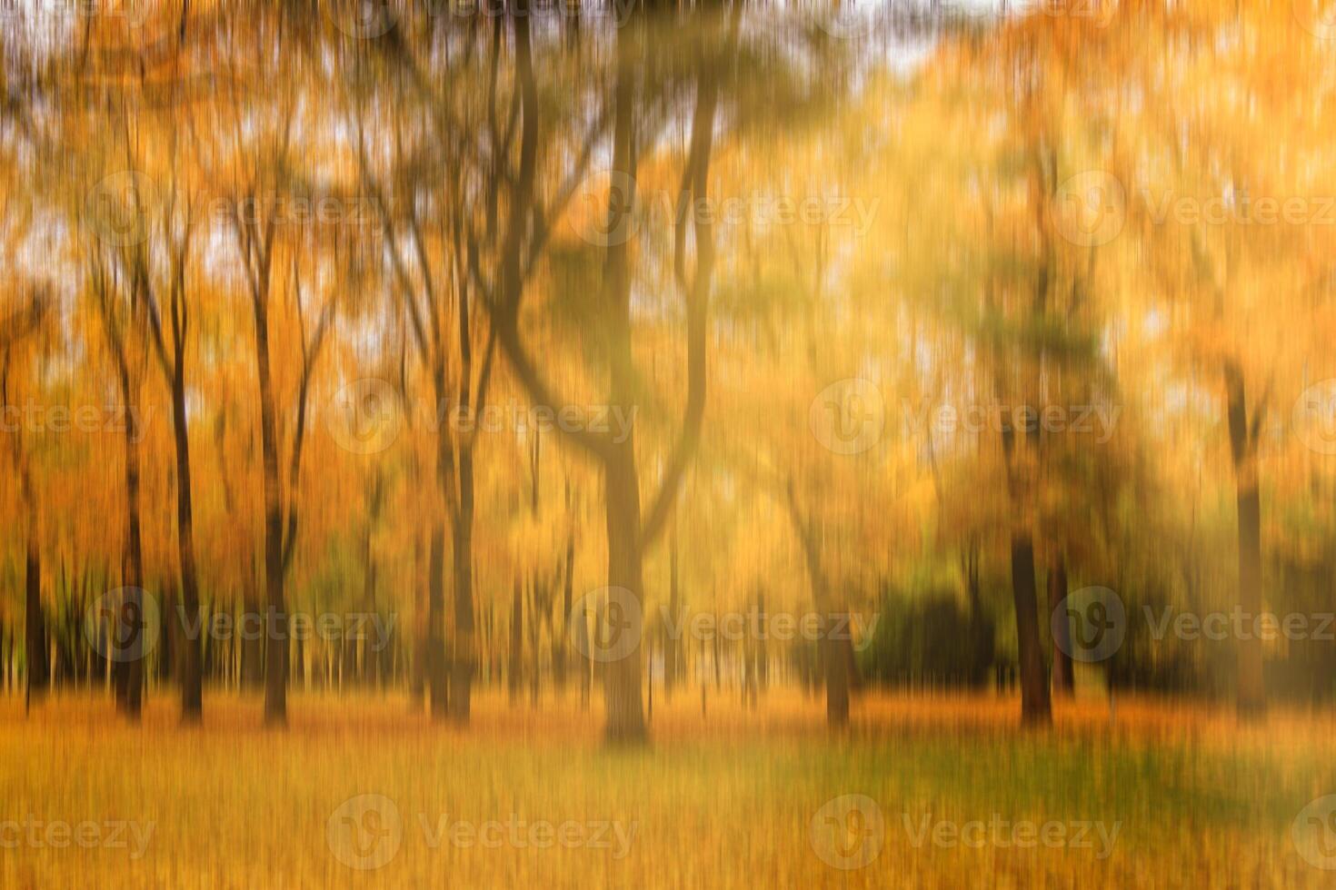 Autumn park with sunshine and vertical motion blurr background. Fall season abstract. photo