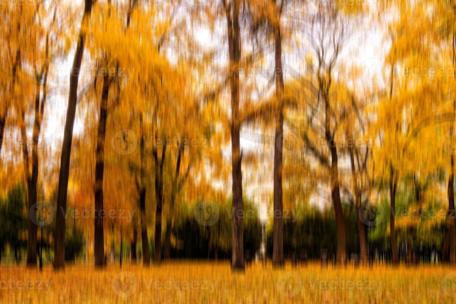 Autumn park vertical motion blurr background. Fall season abstract. photo