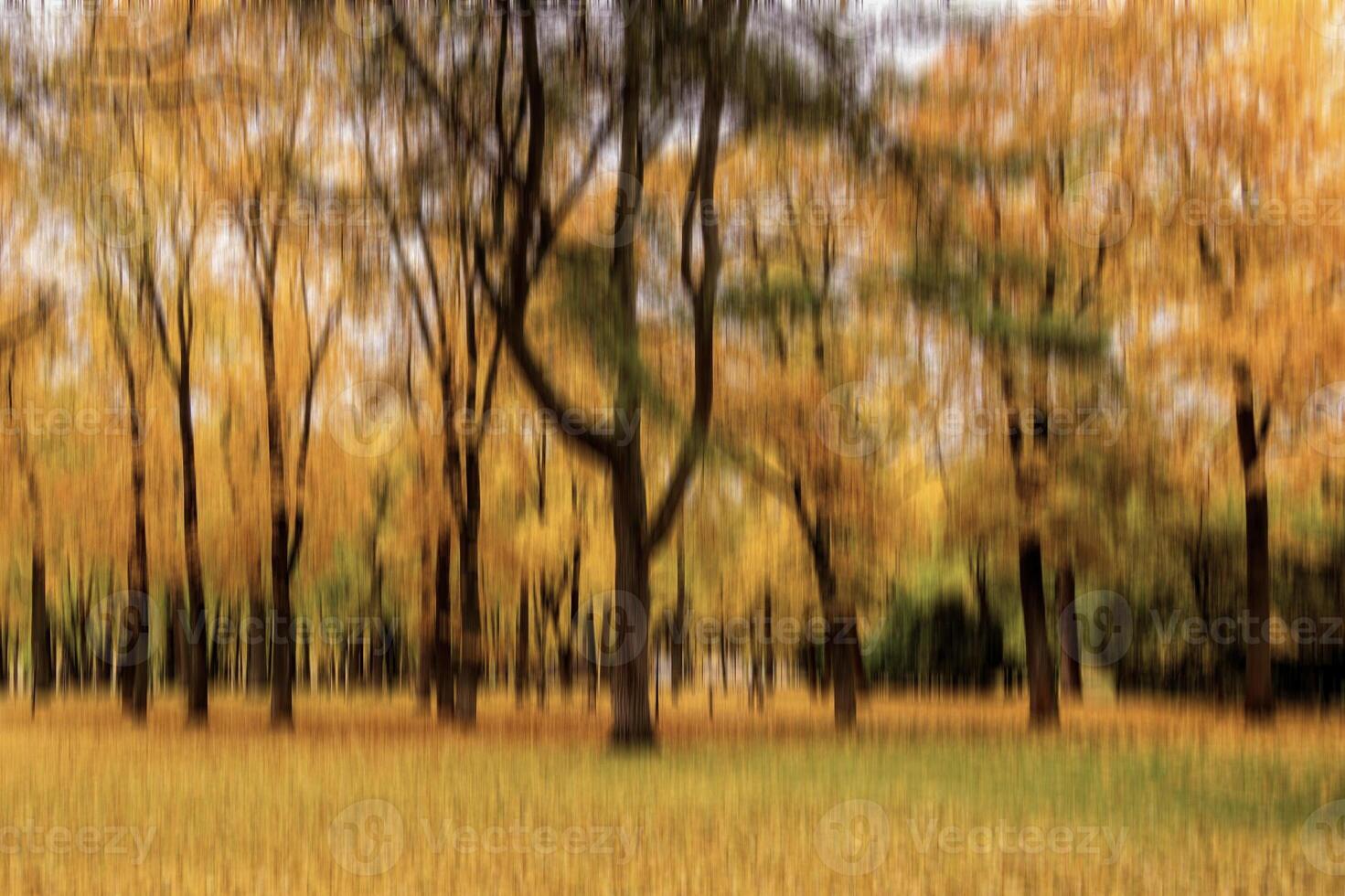 Autumn park vertical motion blurr background. Fall season abstract. photo