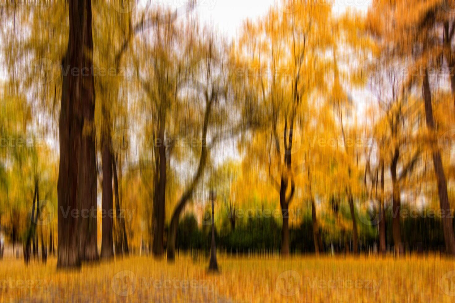 Autumn park vertical motion blurr background. Fall season abstract. photo