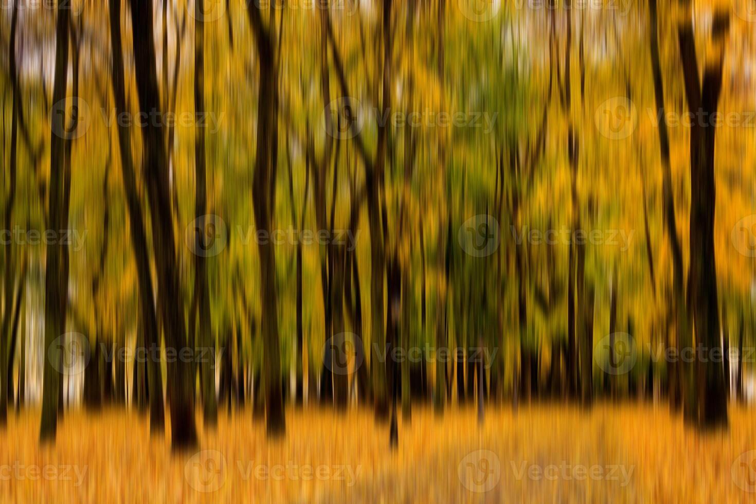 Autumn park vertical motion blurr background. Fall season abstract. photo