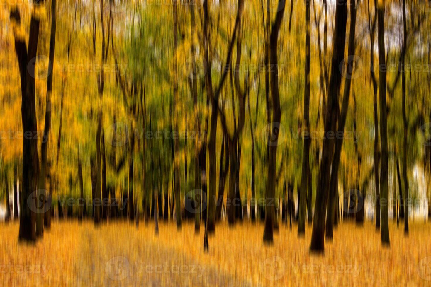 Autumn park vertical motion blurr background. Fall season abstract. photo