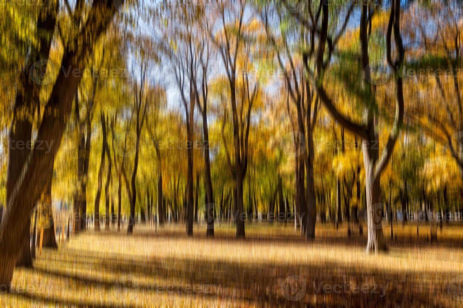 Autumn park vertical motion blurr background. Fall season abstract. photo