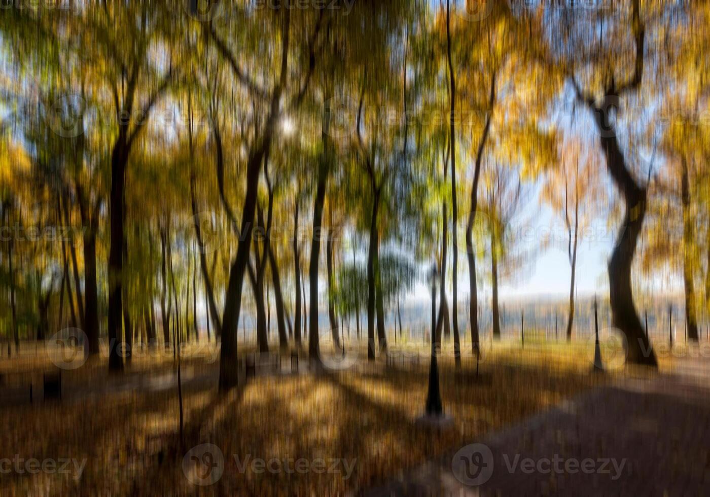 Autumn park vertical motion blurr background. Fall season abstract. photo