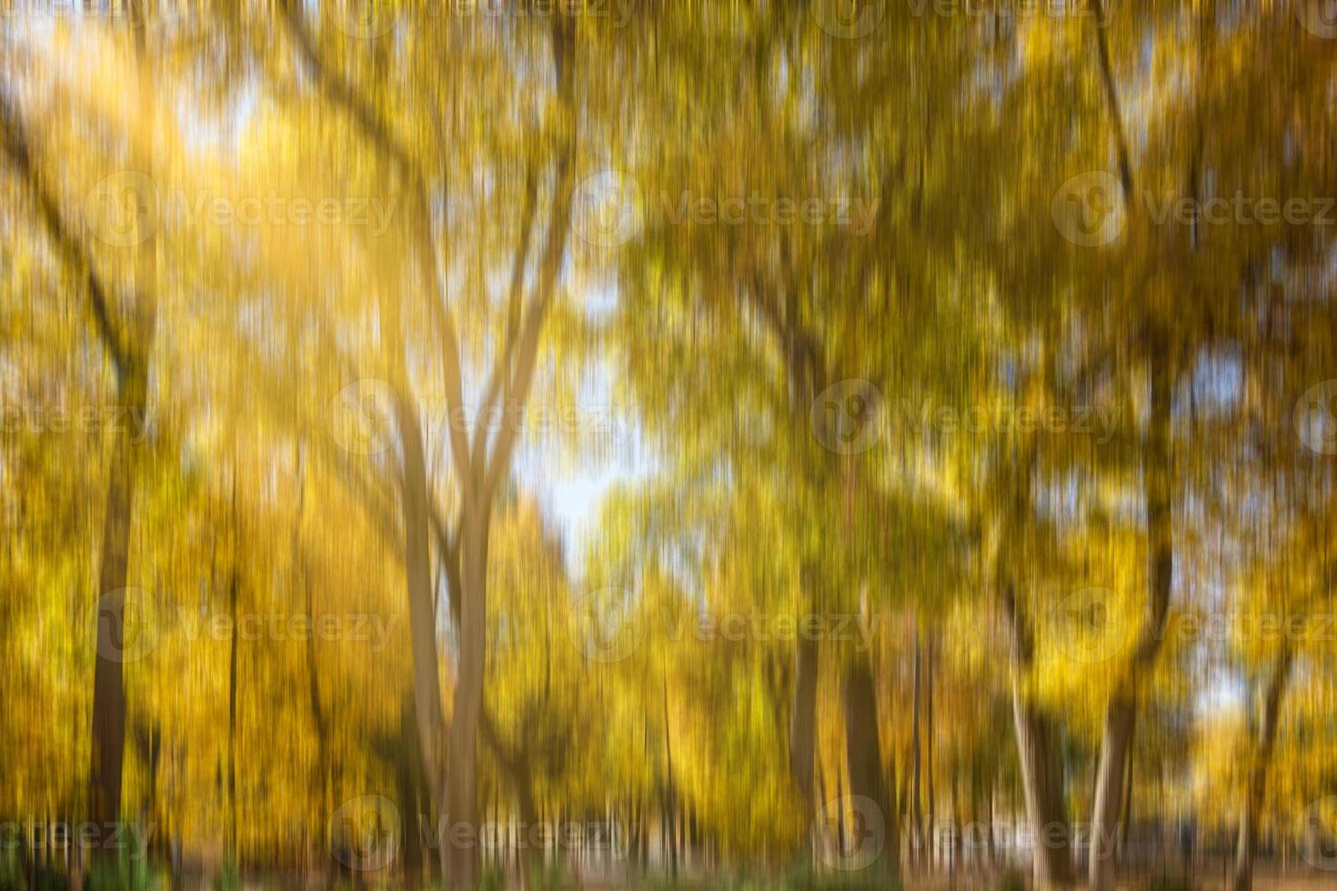 Autumn park with sunshine and vertical motion blurr background. Fall season abstract. photo